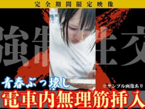 Pcolle PPV【窃触窃挿フル50分超/私服K】一生忘れない。夏休みに乗った電車での出来事