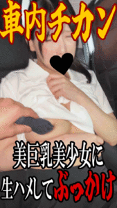 Pcolle PPV【独自入手】車内痴かん／美巨乳美少女へ情欲をぶつけそのまま濃厚精子をぶっかけ