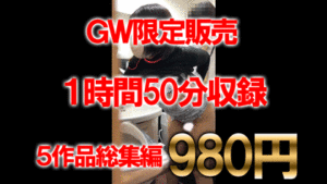 Pcolle PPV【再販】GW期間限定900円！！就活スーツ女子の面接の一部始終。５作品総集編！